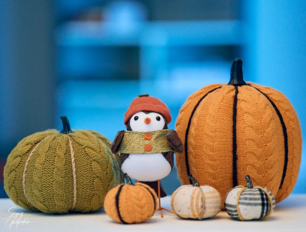 Herfstdecoratie in huis: warme sfeer voor het najaar