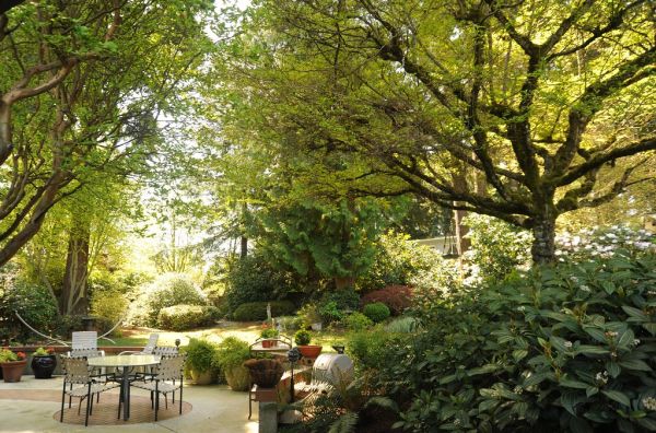 Tuintrends 2026: zo ziet de tuin van nu eruit